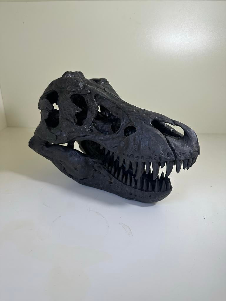 T-Rex Schedel Replica - Zwart, Ophalen of Verzenden, Zo goed als nieuw, Overige soorten, Schedel