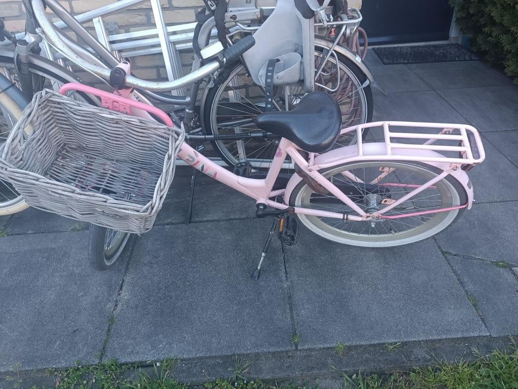 Alpina fiets 22 inch, Ophalen