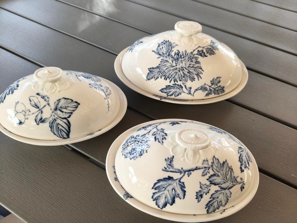 Wedgwood dekschalen, Ophalen, Overige typen, Zo goed als nieuw, Wedgwood