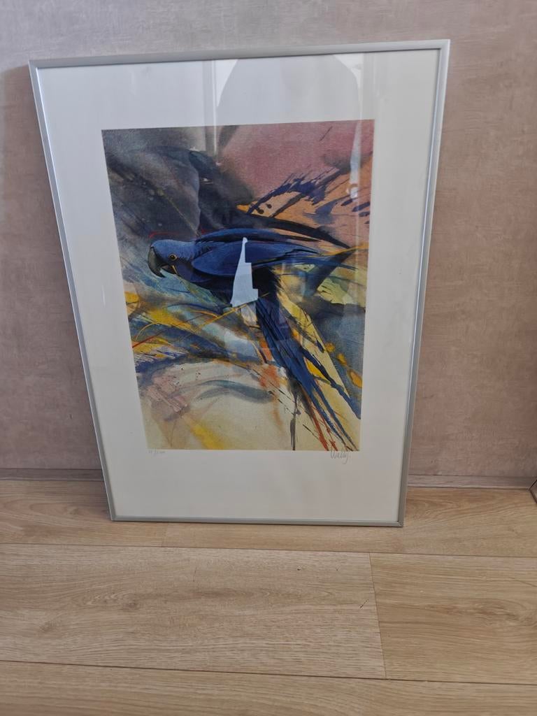 Walty Dudok aquarel blauwe ara, gelimiteerde oplage, Ophalen