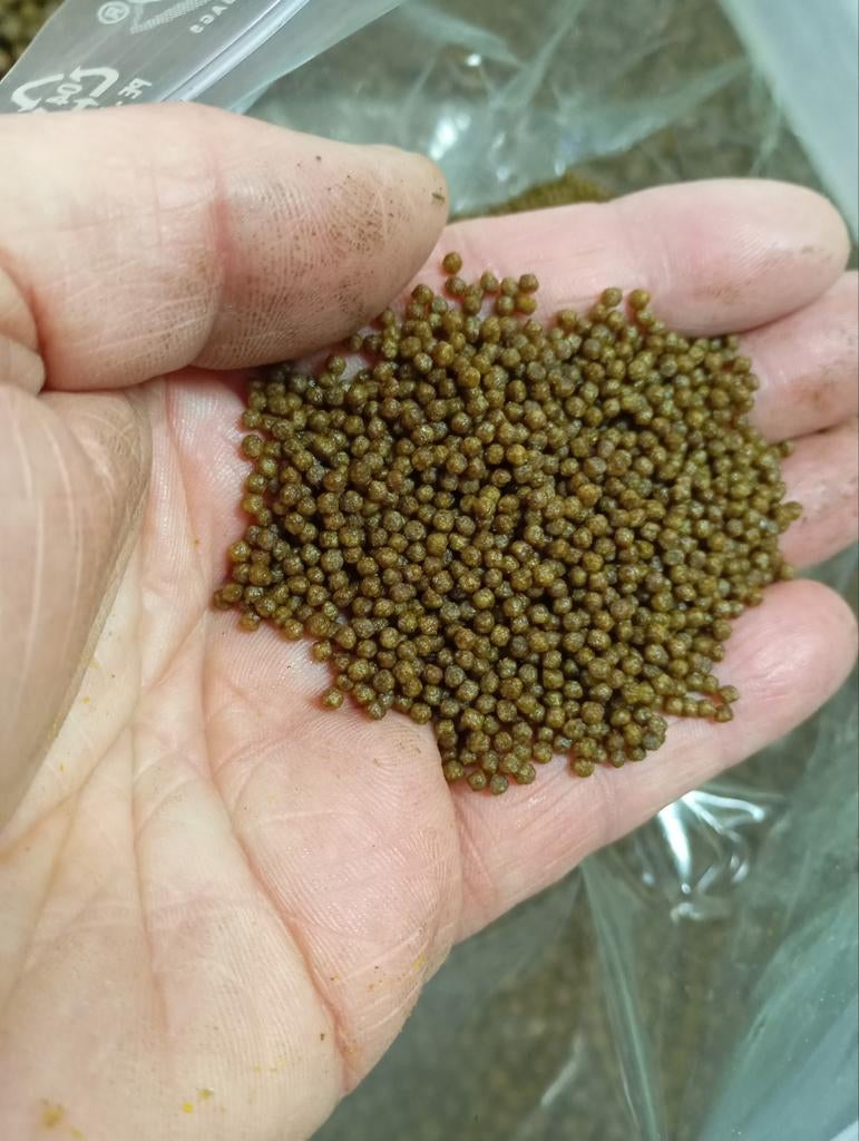 Koivoer / 2 mm Visvoer groeivoer met eiwitten, Ophalen of Verzenden, Nieuw, Overige typen