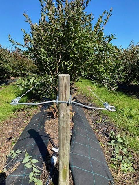 Gewasdraad beugels, Ophalen, Gebruikt