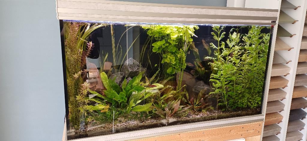 Aquatlantis aquarium, Dieren en Toebehoren, Vissen | Aquaria en Toebehoren, Ophalen, Gebruikt, Leeg aquarium