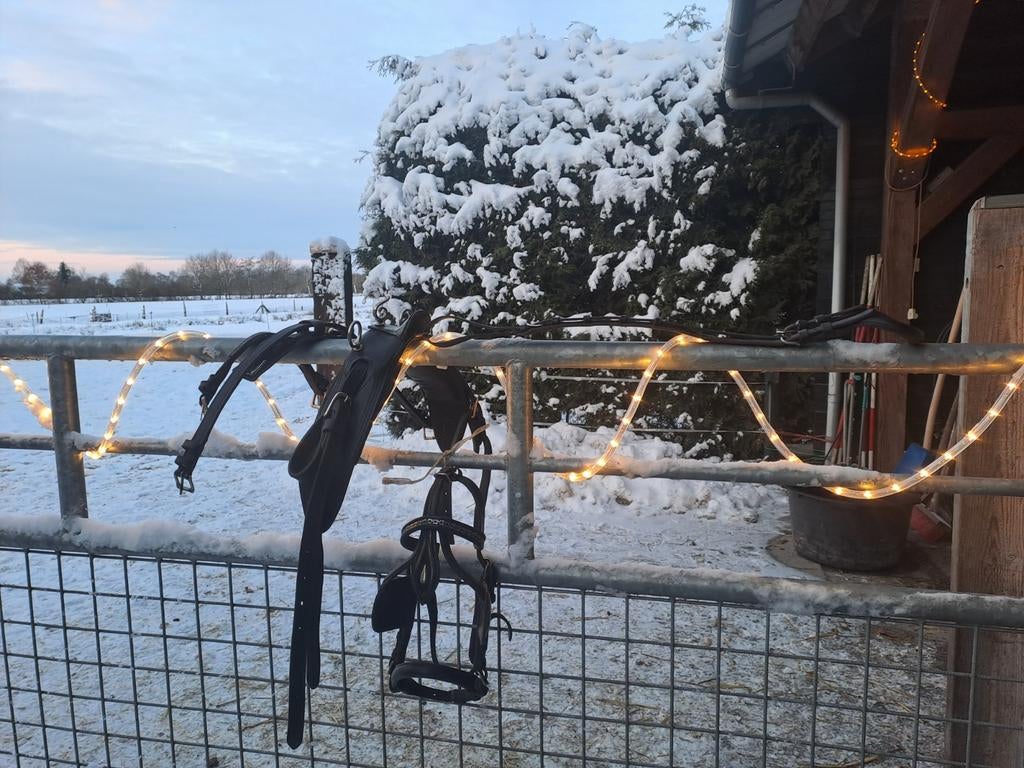 Mentuig shetlander, Ophalen of Verzenden, Gebruikt, Overige soorten