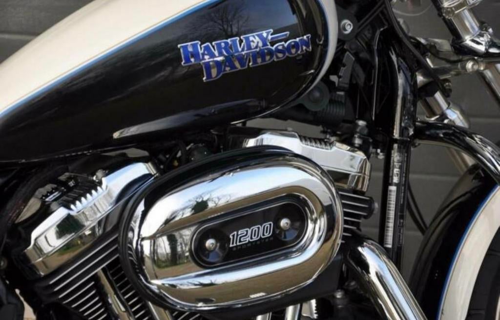 Harley-Davidson Sportster 1200, Sportuitlaat, Chopper, Particulier, Meer dan 35 kW