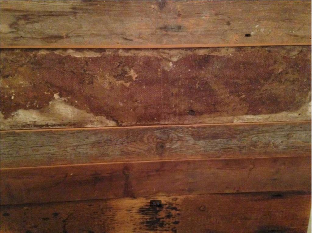 PIET HEIN EEK / JUNIORBED / SLOOP, Ophalen, Gebruikt, 70 tot 85 cm, Lattenbodem