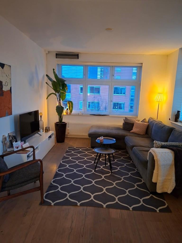 Ikea vloerkleed Stockholm 170 x 240, Ophalen, 150 tot 200 cm, 200 cm of meer, Zo goed als nieuw