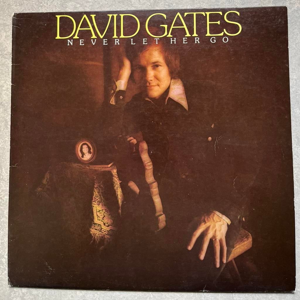 David Gates - Never Let Her Go (Vinyl/LP pop), Cd's en Dvd's, Vinyl | Pop, Ophalen of Verzenden, Gebruikt, 12 inch