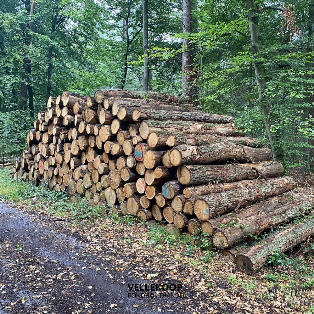 Vrachten eiken stamhout | nu leverbaar, Tuin en Terras, Haardhout, 6 m³ of meer, Verzenden, Eikenhout, Stammen