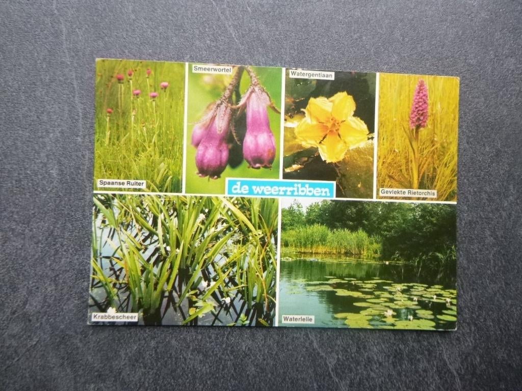 de Weerribben 1986, Ophalen of Verzenden, 1980 tot heden, Gelopen, Noord-Brabant