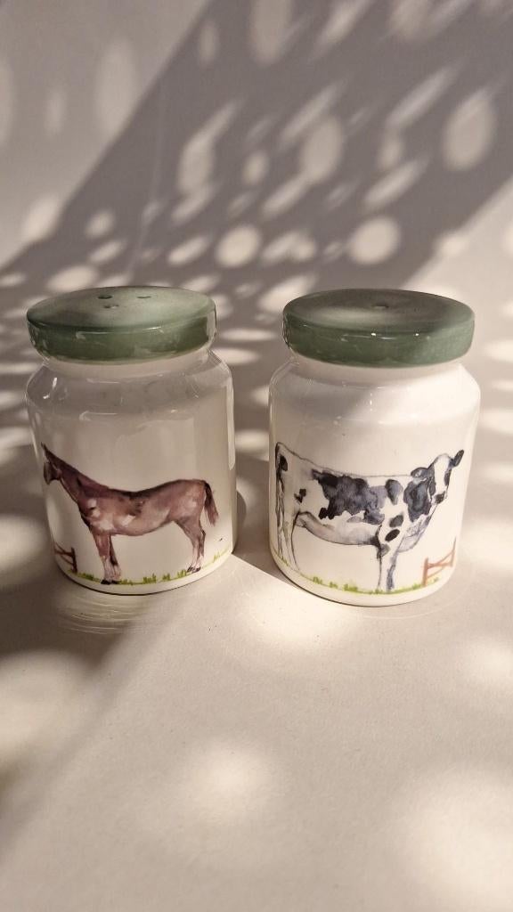 Nieuw peper- en zoutstel., Ophalen, Overige typen, Nieuw, Overige stijlen