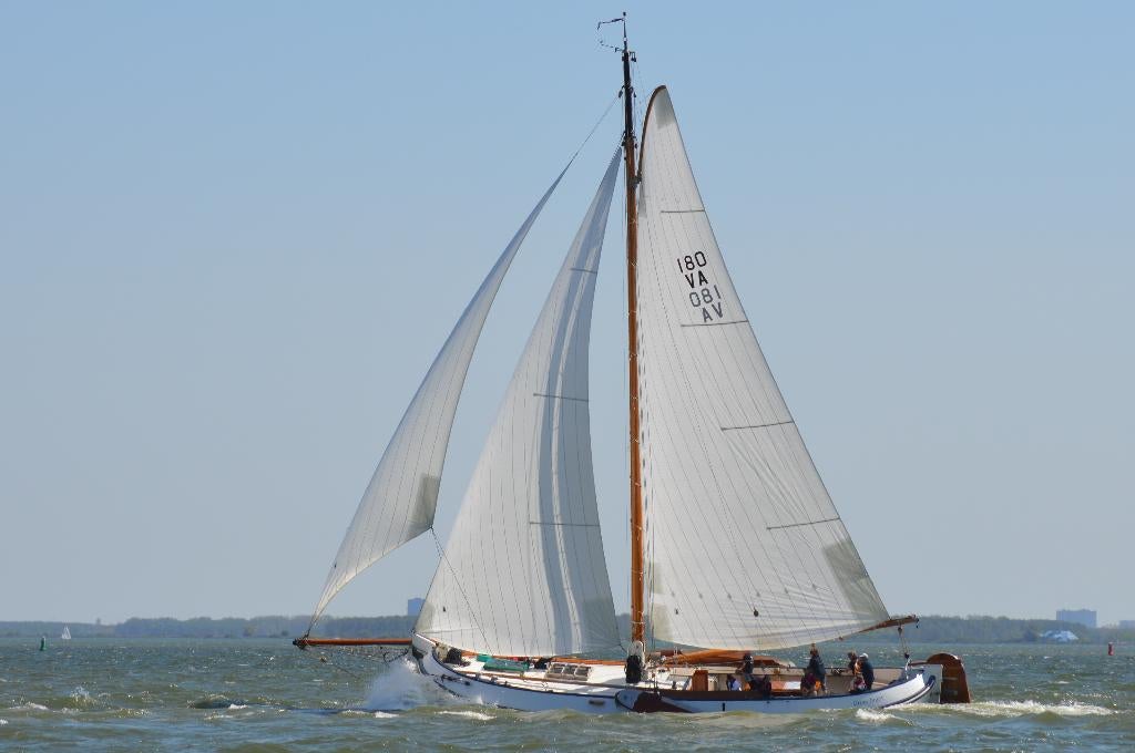 lemsteraak te koop, Gebruikt, Staal, Diesel, Ophalen of Verzenden