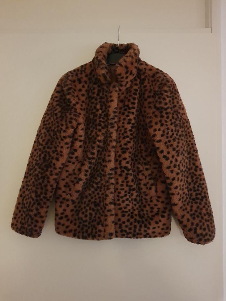 Jas / winterjas voor meisjes -- maat 146 / 152 -- Hema, Meisje, Ophalen of Verzenden, Zo goed als nieuw, Hema