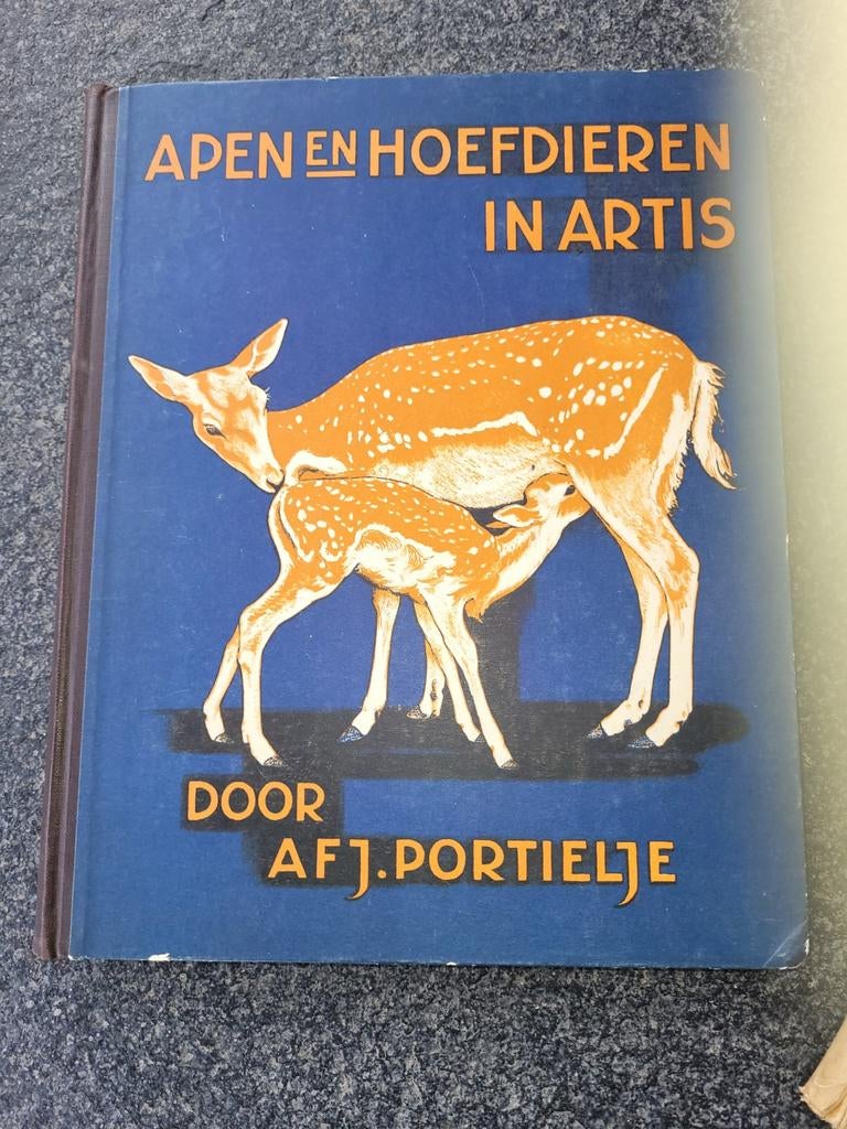 Apen en hoefdieren in artis (a), Ophalen of Verzenden