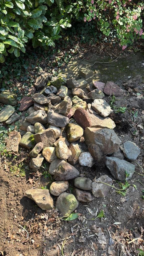 Decoratieve Vijverkeien - Natuurlijke Tuinaccenten, Tuin en Terras, Grind, Keien en Split, Ophalen, Overige materialen, Gebruikt