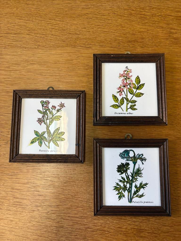 Mooie Set Vintage Botanische Tegeltjes bloemen Houten Lijst, Ophalen of Verzenden
