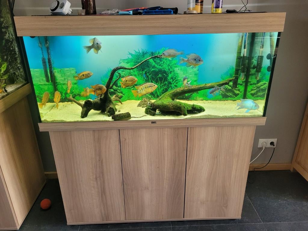 Juwel rio 240, Dieren en Toebehoren, Vissen | Aquaria en Toebehoren, Zo goed als nieuw, Leeg aquarium, Ophalen