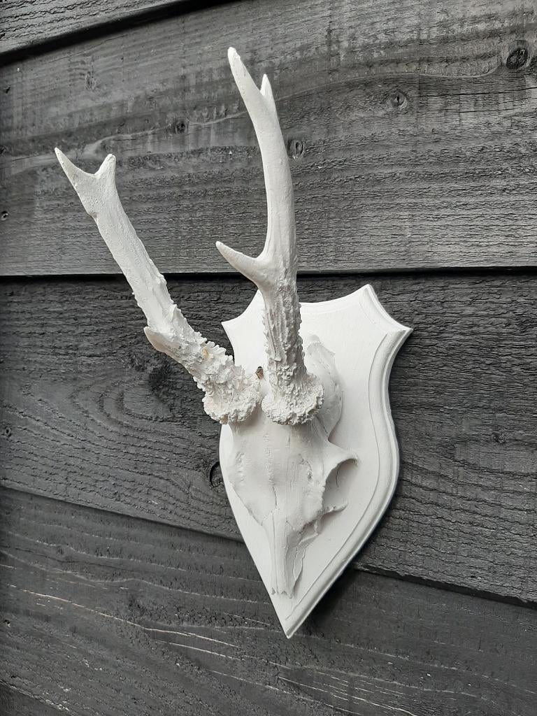 Zeer mooie partij herten geweitjes 25 cm x 12 cm 352 stuks, Antiek en Kunst, Ophalen