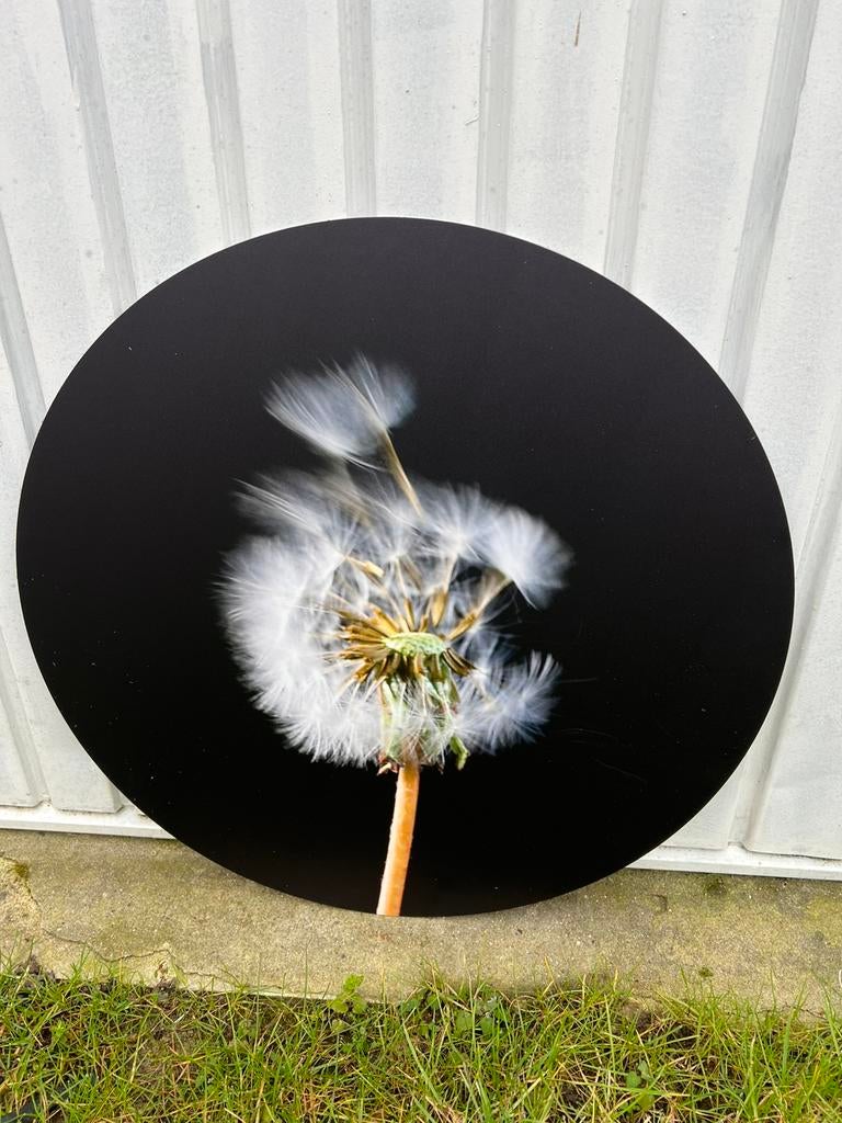 Wandcirkel bloesem aluminium €7,50 afhaal, Ophalen, Zo goed als nieuw, 50 tot 75 cm, Schilderij