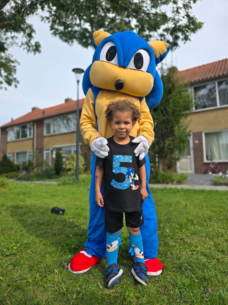 Sonic te huur, Ophalen of Verzenden, Zo goed als nieuw, Verjaardag