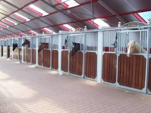 Paarden staling gezocht voor 4 paarden, Dieren en Toebehoren, Stalling en Weidegang