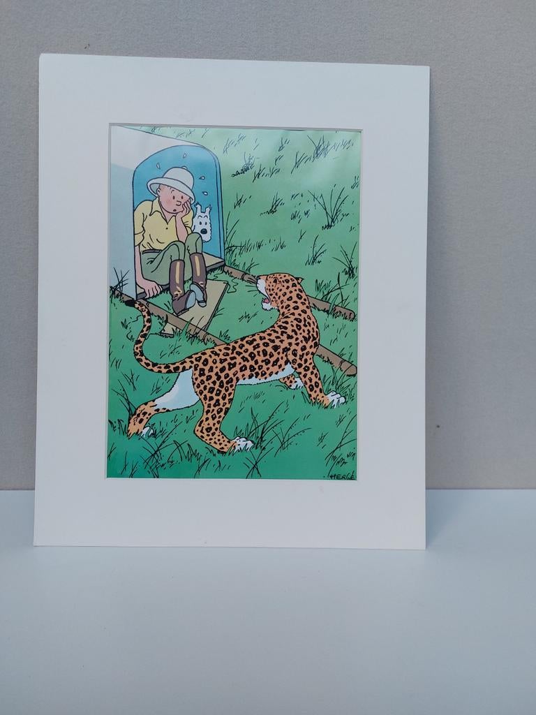 Kuifje in Afrika poster, Ophalen, A1 t/m A3, Film en Tv