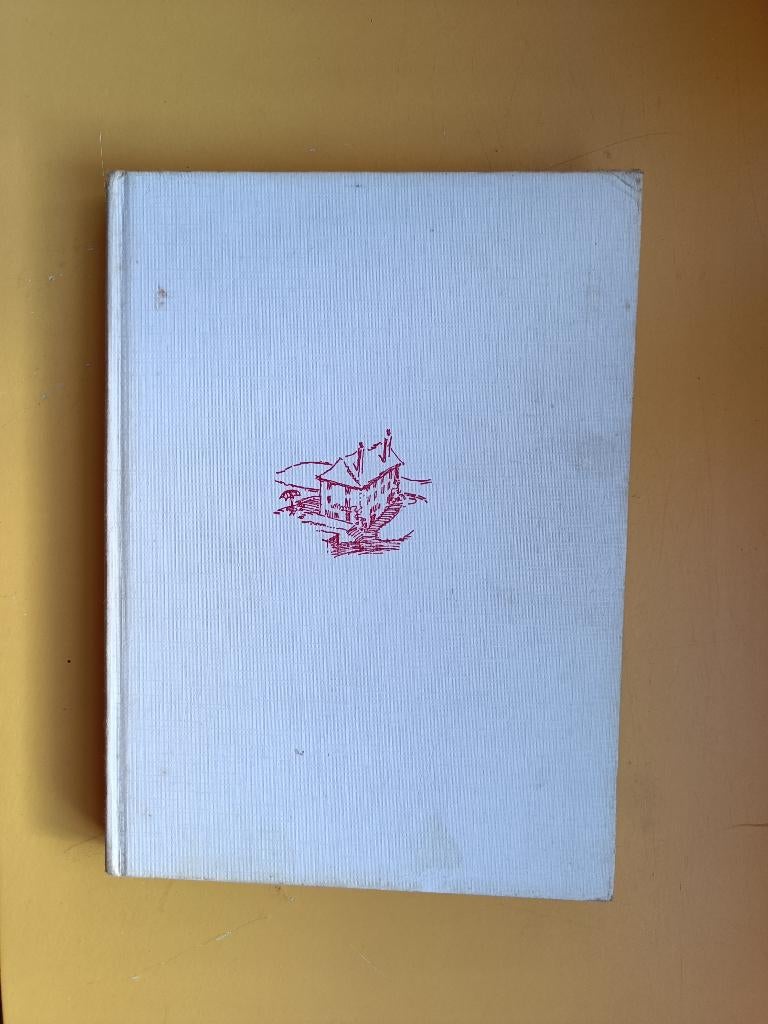 Betty van der Plaats – Erna en het witte huis, Ophalen of Verzenden, Gelezen, Betty van der Plaats