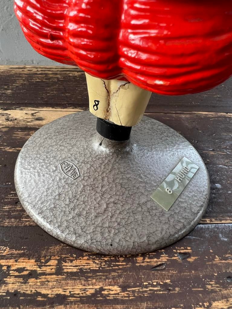 Zeldzaam anatomisch model Gips Hond hersens, Ophalen of Verzenden