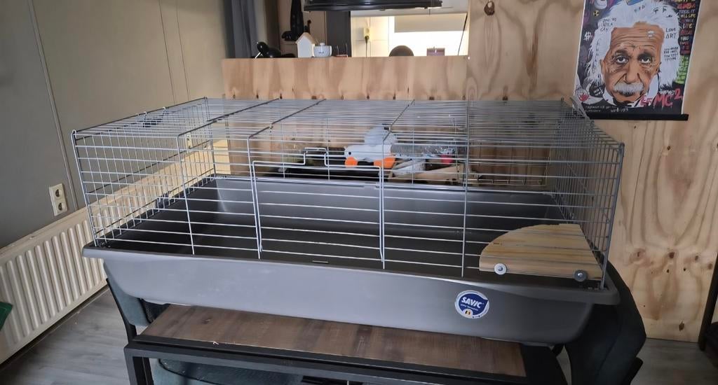 Knaagdierkooi / caviakooi 120 cm, Dieren en Toebehoren, Zo goed als nieuw, Hok, Cavia, Ophalen