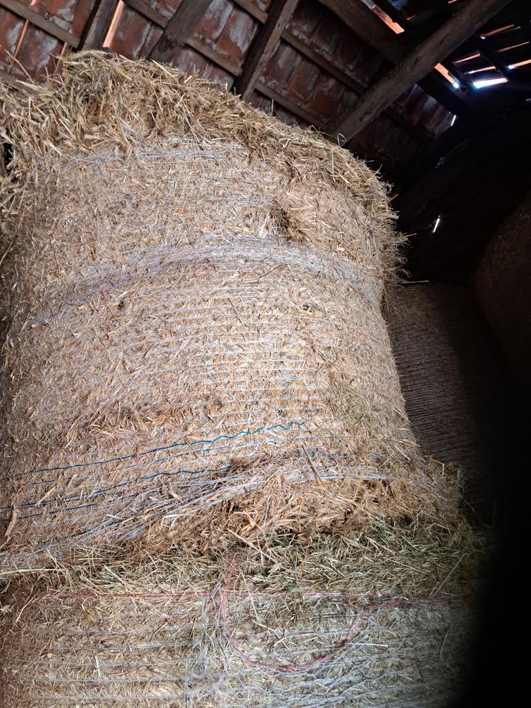Stroh balen te koop hooi balen, 33 - 40 uur, Overige niveaus, Vanaf 10 jaar, Overige vormen
