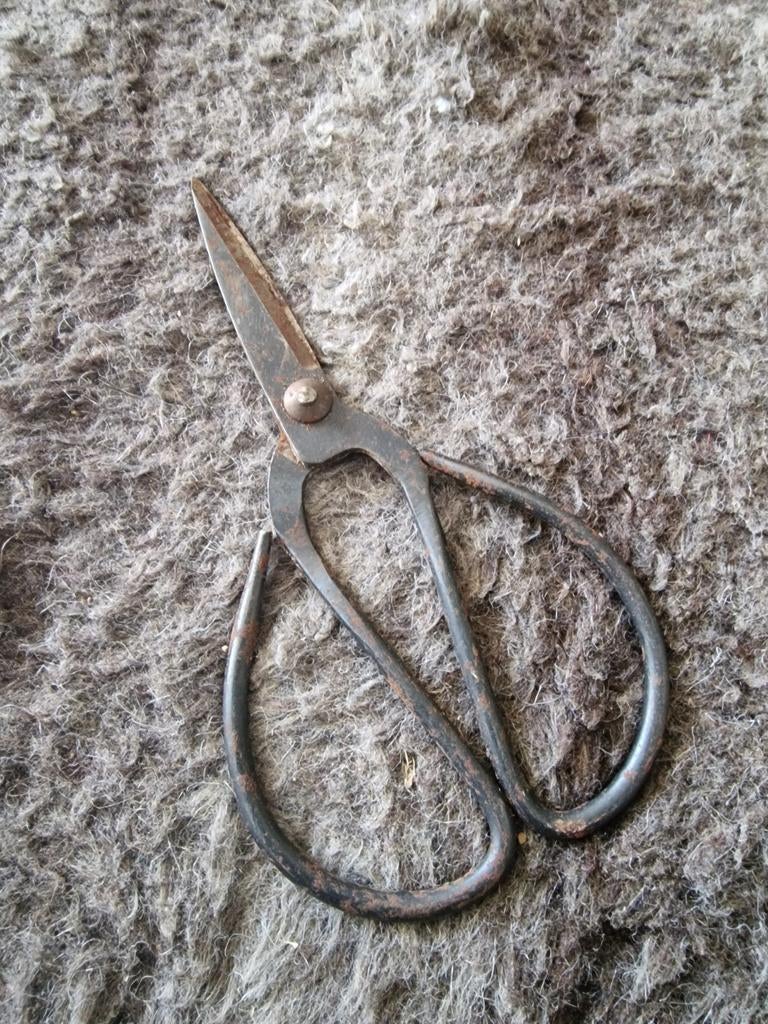 Mooie schaar, Ophalen of Verzenden, Zo goed als nieuw