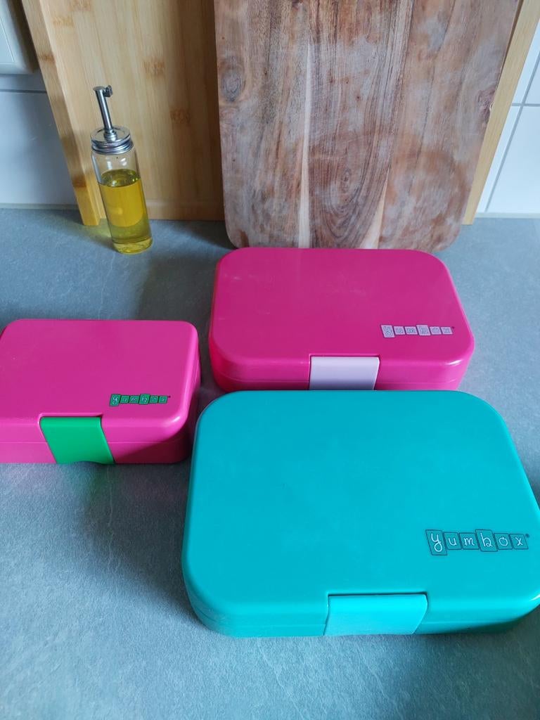 Bento lunch met toebehoren zie de foto's, Ophalen of Verzenden, Nieuw, Overige typen