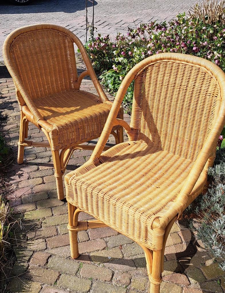 2 rotan rieten eetkamer stoelen, Ophalen, Gebruikt, Twee, Overige kleuren