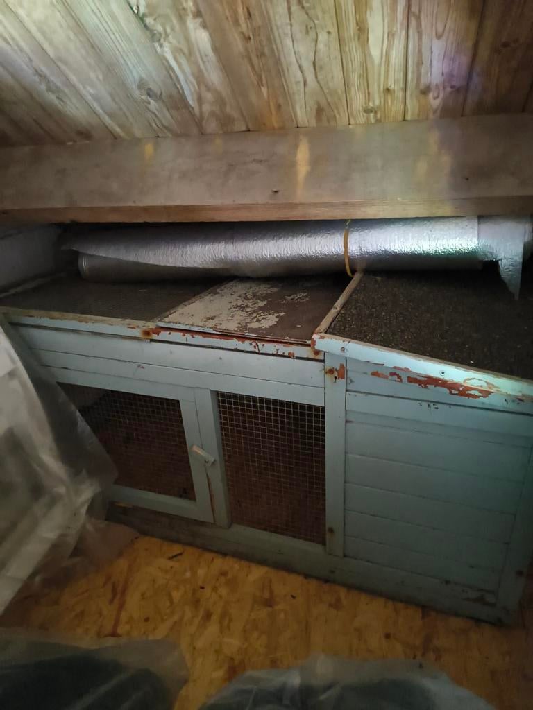 Konijnenren met nachthok., Konijn, Ren, Ophalen, Minder dan 60 cm