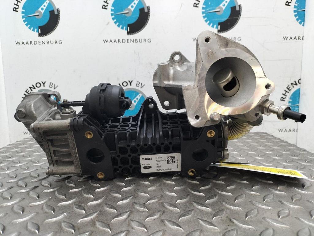 FORD FOCUS EGR KLEP / KOELER 2020, Ophalen of Verzenden, Gebruikt, Stiba lid