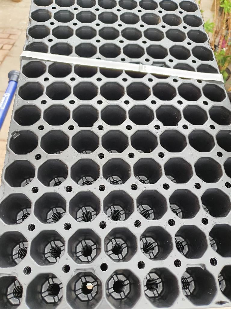 Professionele 104-gaats Stek- & Zaaitrays  Extra Voordelig, Tuin en Terras, De Triemen 5A 9296 MB de Triemen, Kunststof, Rond