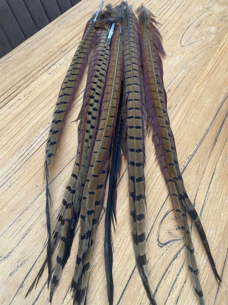 Fazant veren, Ophalen of Verzenden, Zo goed als nieuw