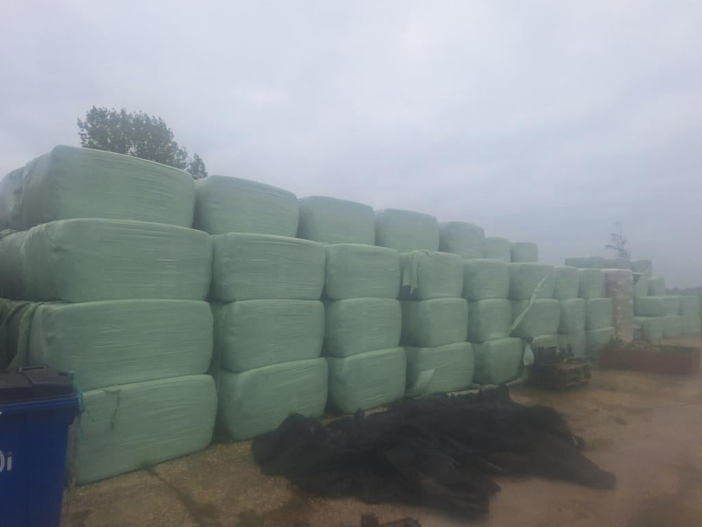 Hooibalen, Dieren en Toebehoren, Dierenvoeding, Vee, Ophalen of Verzenden