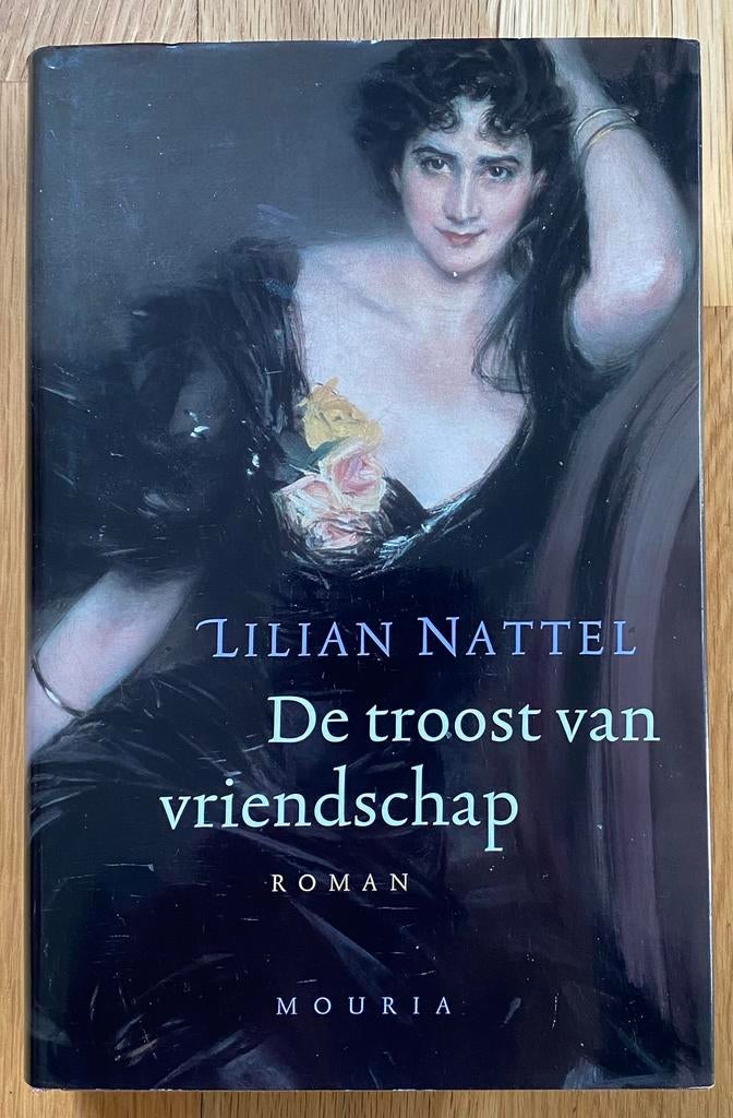 DE TROOST VAN VRIENDSCHAP - Lilian Nattel (2004), Boeken, Verzenden, Gelezen, Europa overig