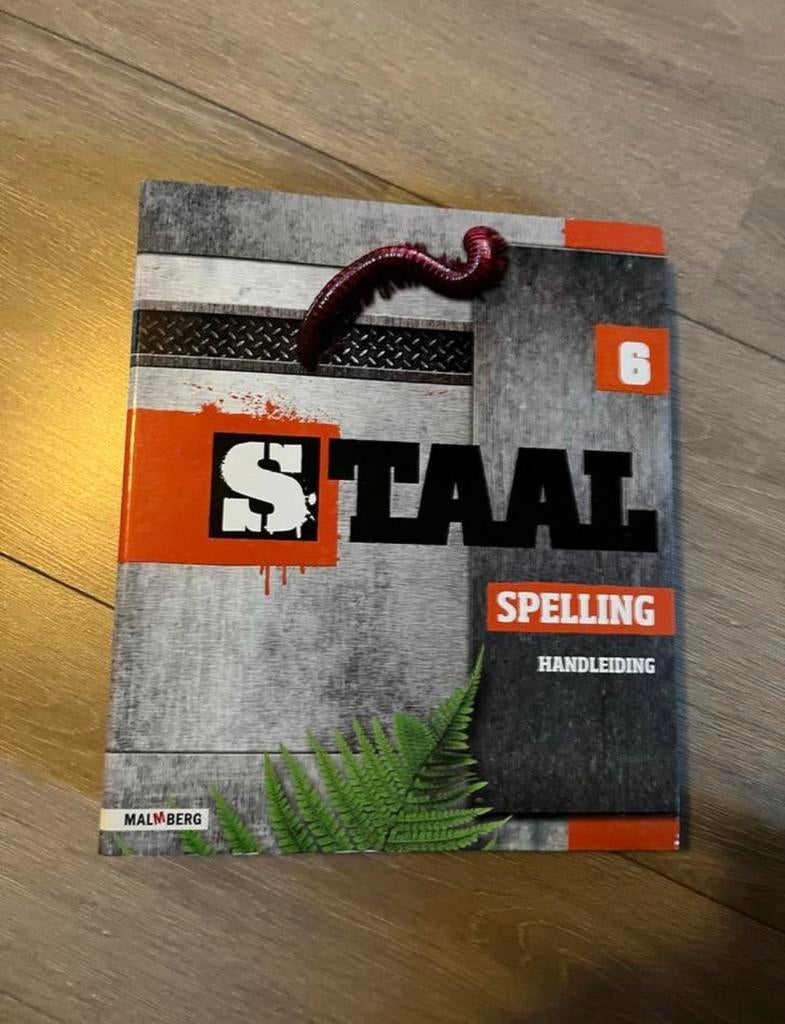 Staal handleiding groep 6, Ophalen of Verzenden, Zo goed als nieuw, Overige niveaus, Nederlands