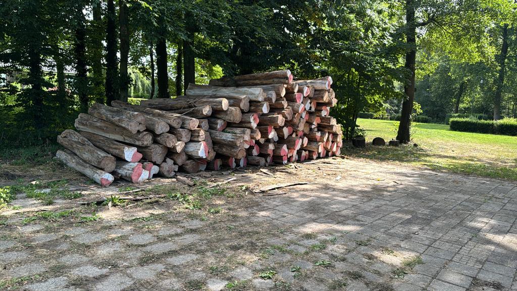 Teak houten planken op maat gezaagd, Doe-het-zelf en Verbouw, Hout en Planken, Ophalen, 25 tot 50 mm, Nieuw, Plank