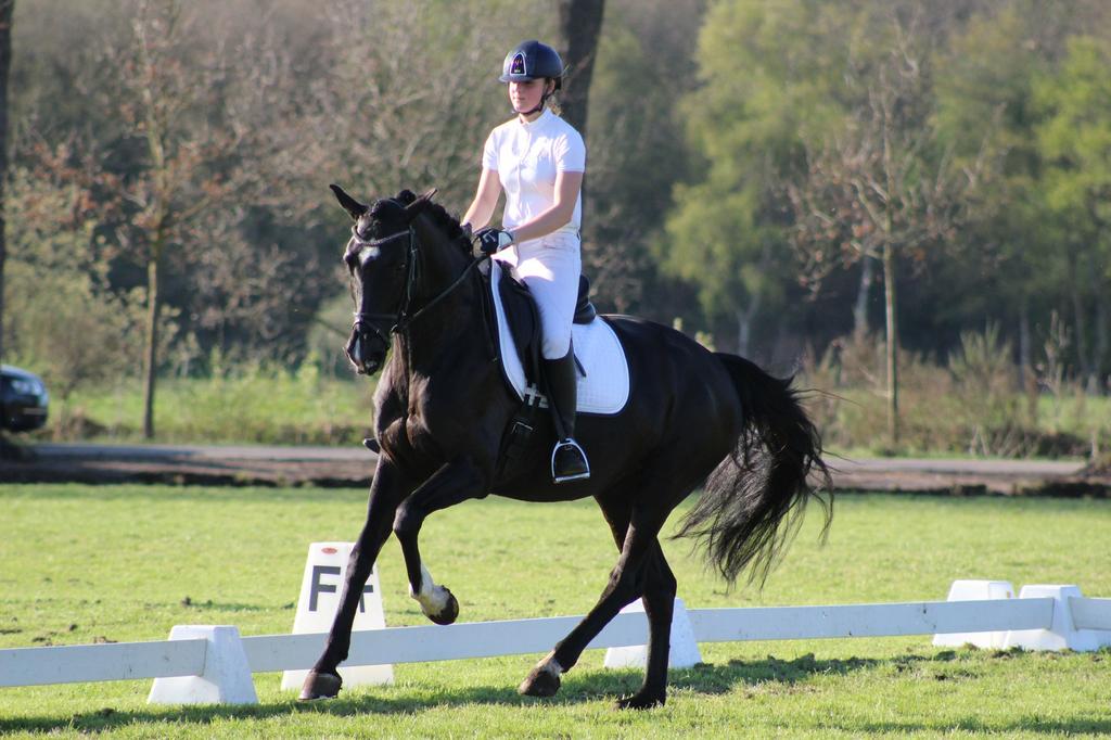 Instructeur dressuur, springen, longeren voltige en meer!, Paardrijles of Ponykampen