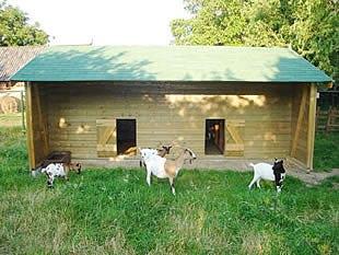 geitenhokken, Ophalen of Verzenden, Nieuw