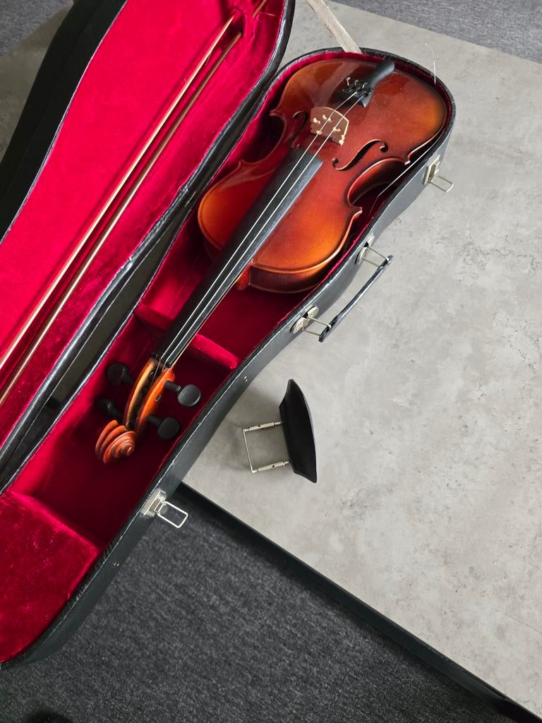 2x viool, Ophalen of Verzenden, 4/4-viool