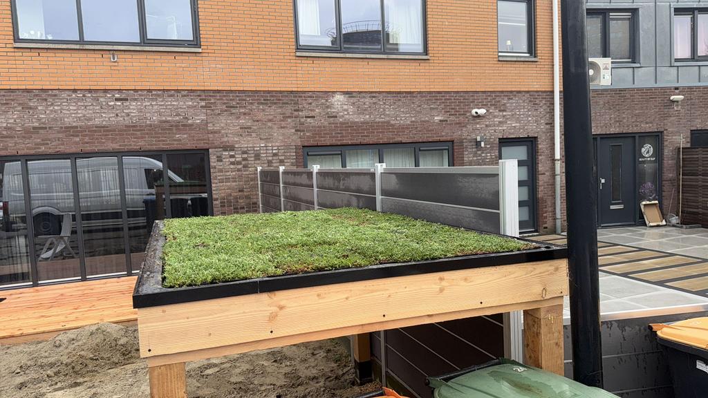 Groen is Leven Groendak sedum eenvoudig zelf te maken