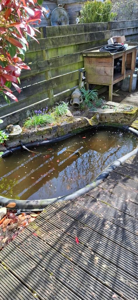 Vijver met waterloop en filter, Tuin en Terras, Vijvers, Ophalen, Gebruikt