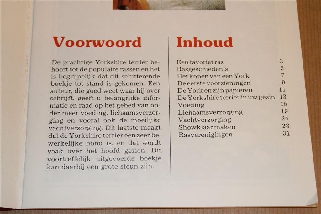 VNK Rassengids — Yorkshire Terrier [1982], Boeken, Ophalen of Verzenden, Gelezen