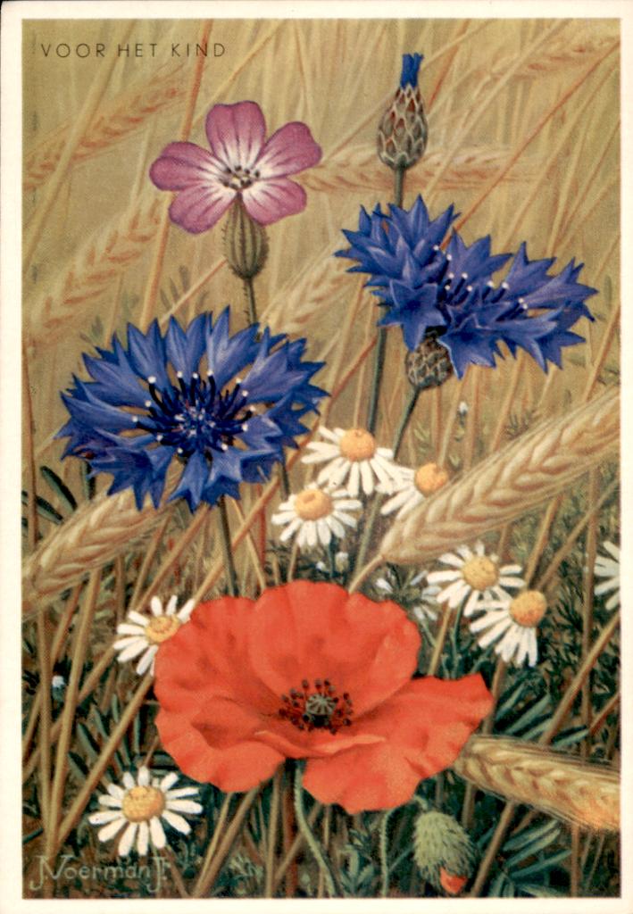 Voor het kind, bolderik, Jan Voerman, Verzenden, 1960 tot 1980, Ongelopen, Natuur