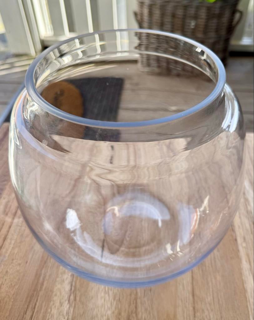 Goudvissen kom doorsnee 21 cm, Ophalen