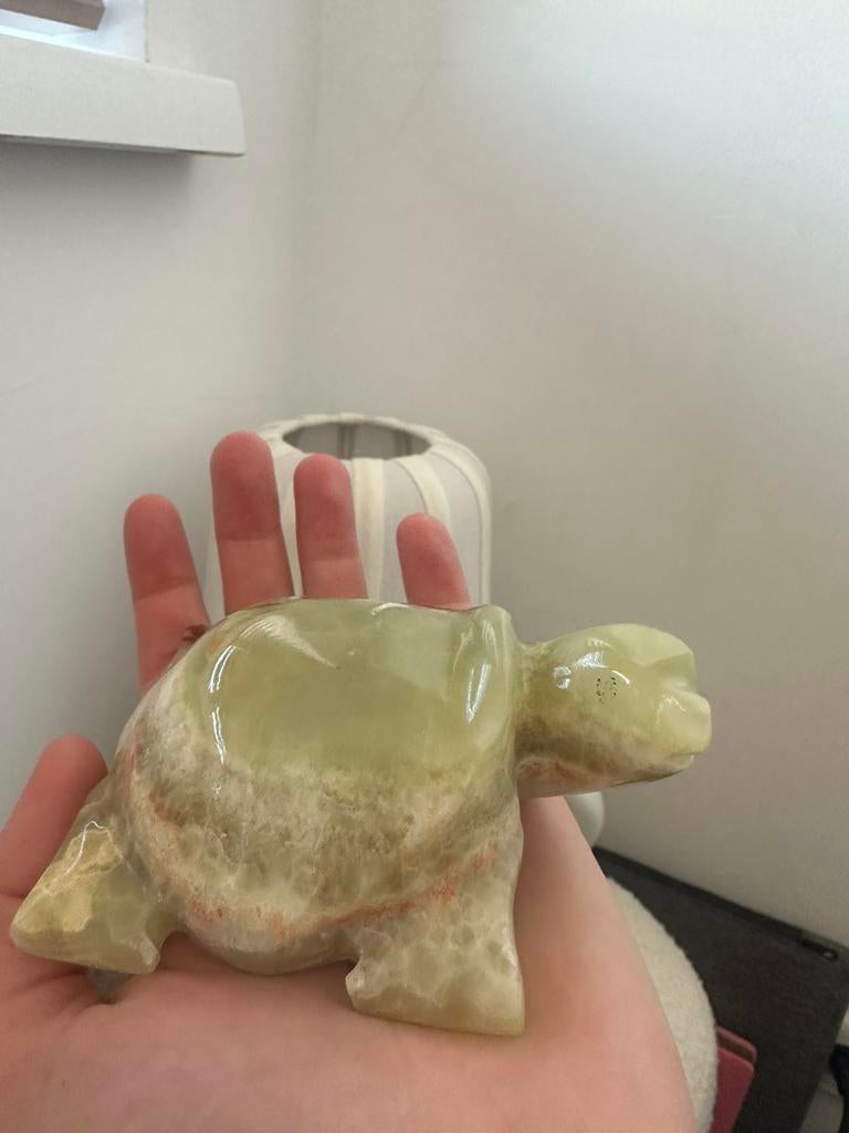 Onyx schildpad, Ophalen of Verzenden